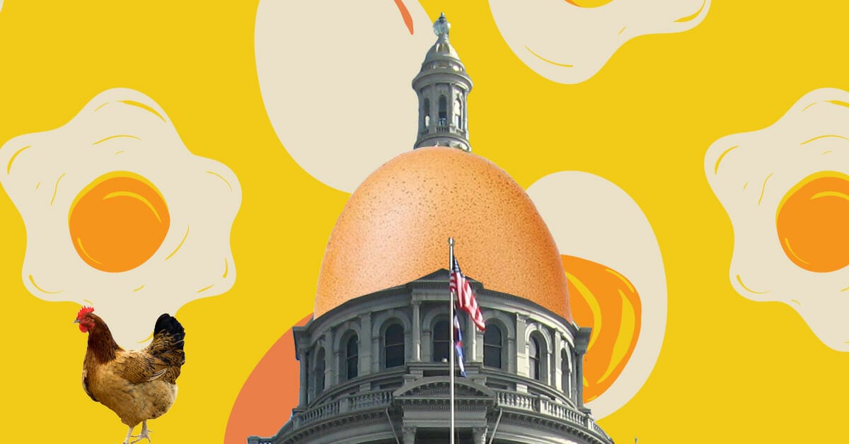 Kim Monson explains why Colorado HB-1343 “Confinement of Egg-Laying Hens” favors certain egg producers and hurts the average Colorado citizen.