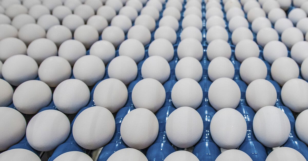 Trent Loos explains why Colorado egg prices are tied to the World Economic Forum's agenda.