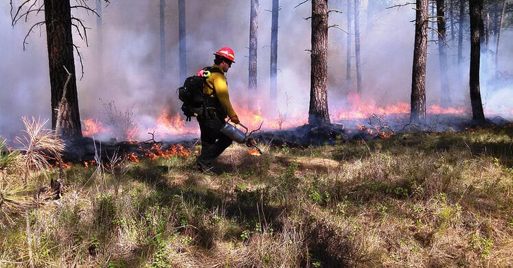 The Benefits and Dangers of Controlled Burns