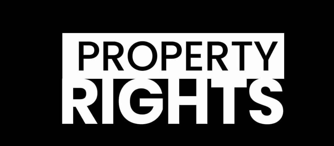 property right americhicks may 13 2019